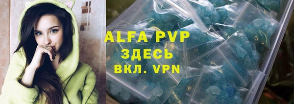 гашик Алексин