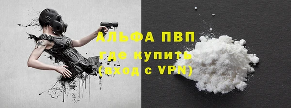 хмурый Аркадак