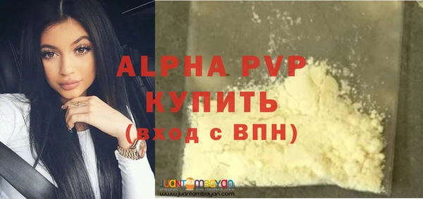 гашик Алексин