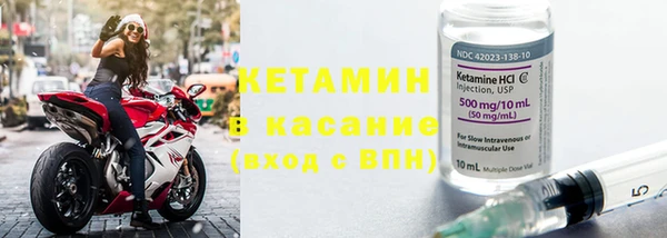 гашик Алексин