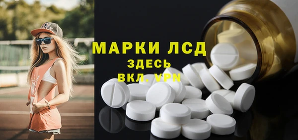 гашик Алексин