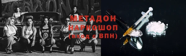 гашик Алексин