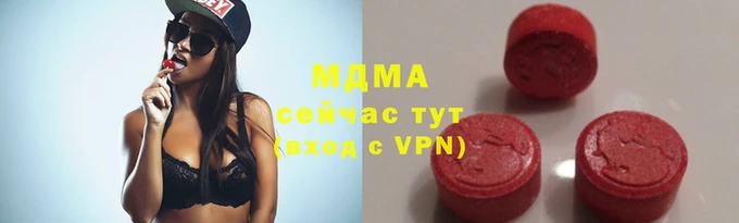 гашик Алексин