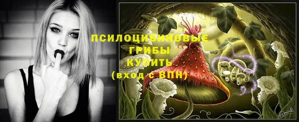 гидра Алексеевка