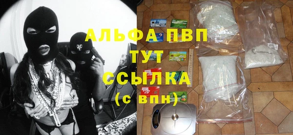 гашик Алексин