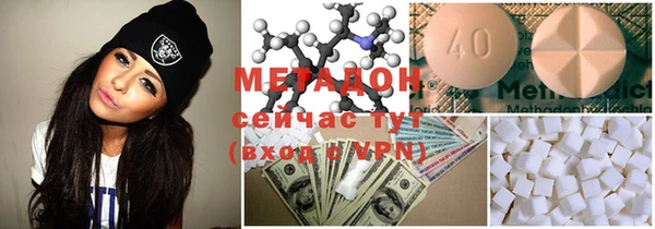 гашик Алексин