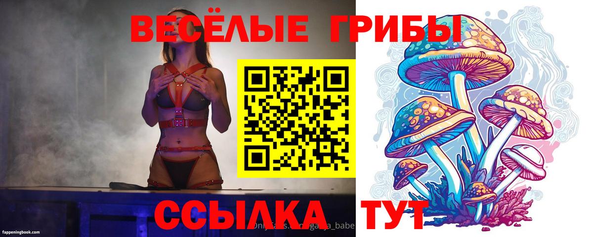 Новодвинск  Псилоцибиновые грибы GOLDEN TEACHER  Вход с VPN 
